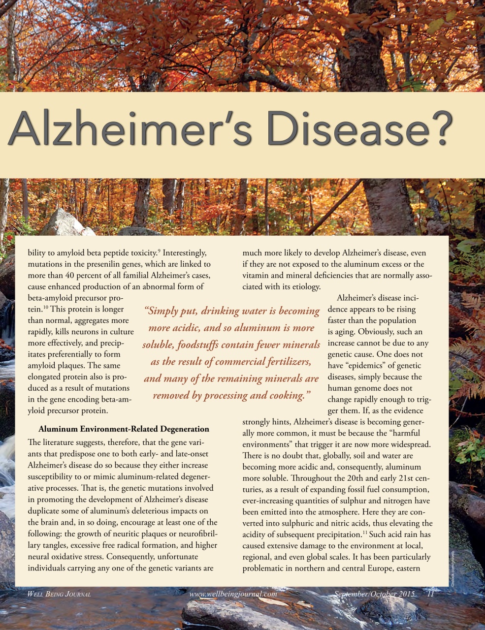 Well Being Journal Preview Pages