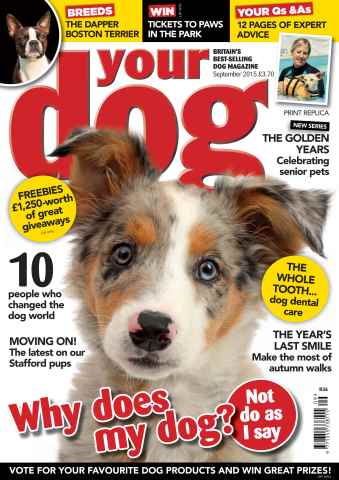 Your Dog issue Your Dog Magazine September 2015