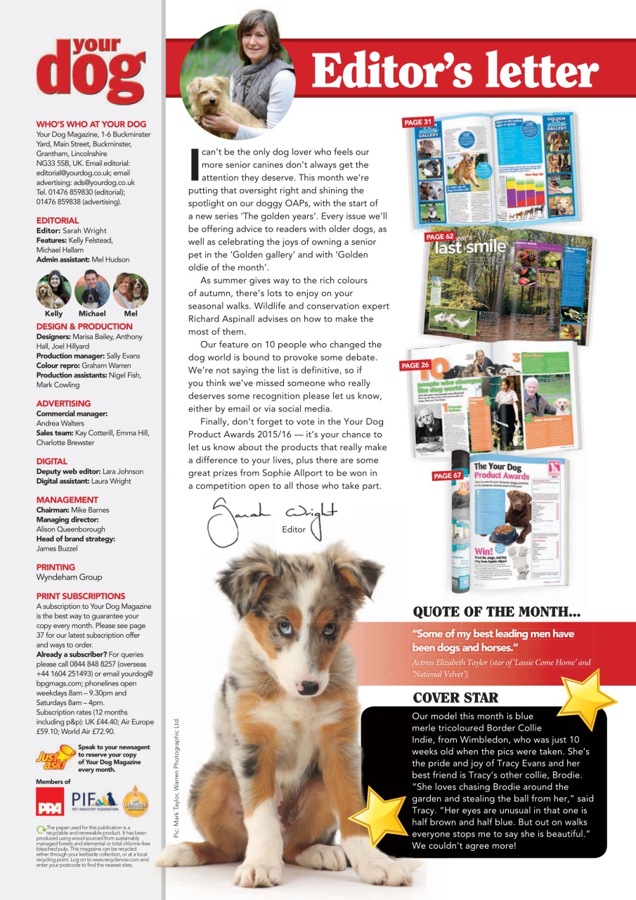 Your Dog Preview Pages