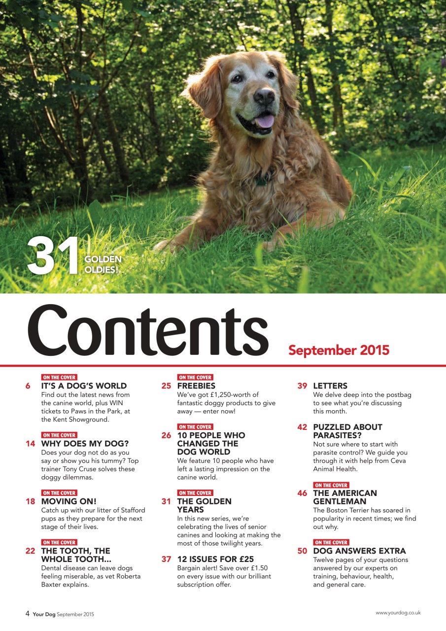 Your Dog Preview Pages