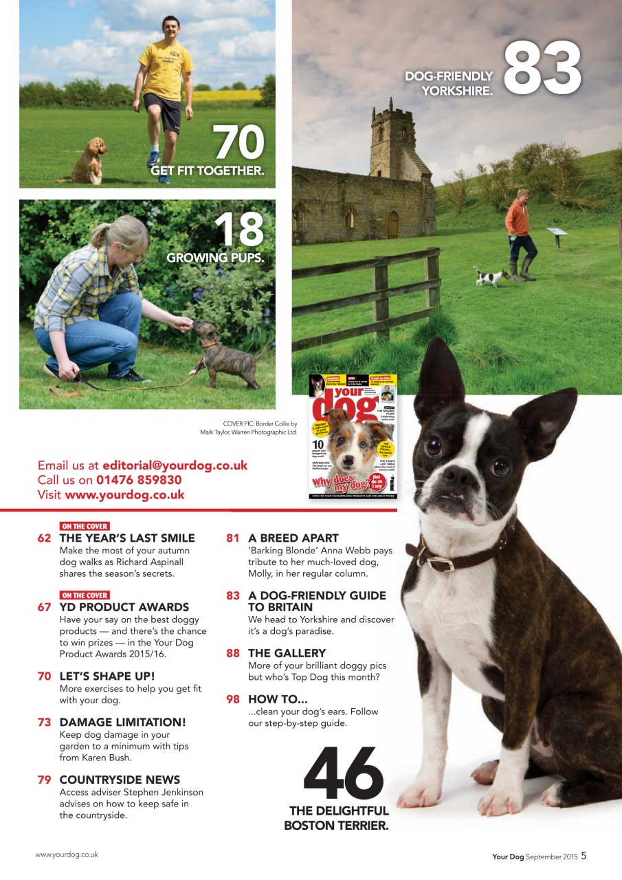 Your Dog Preview Pages
