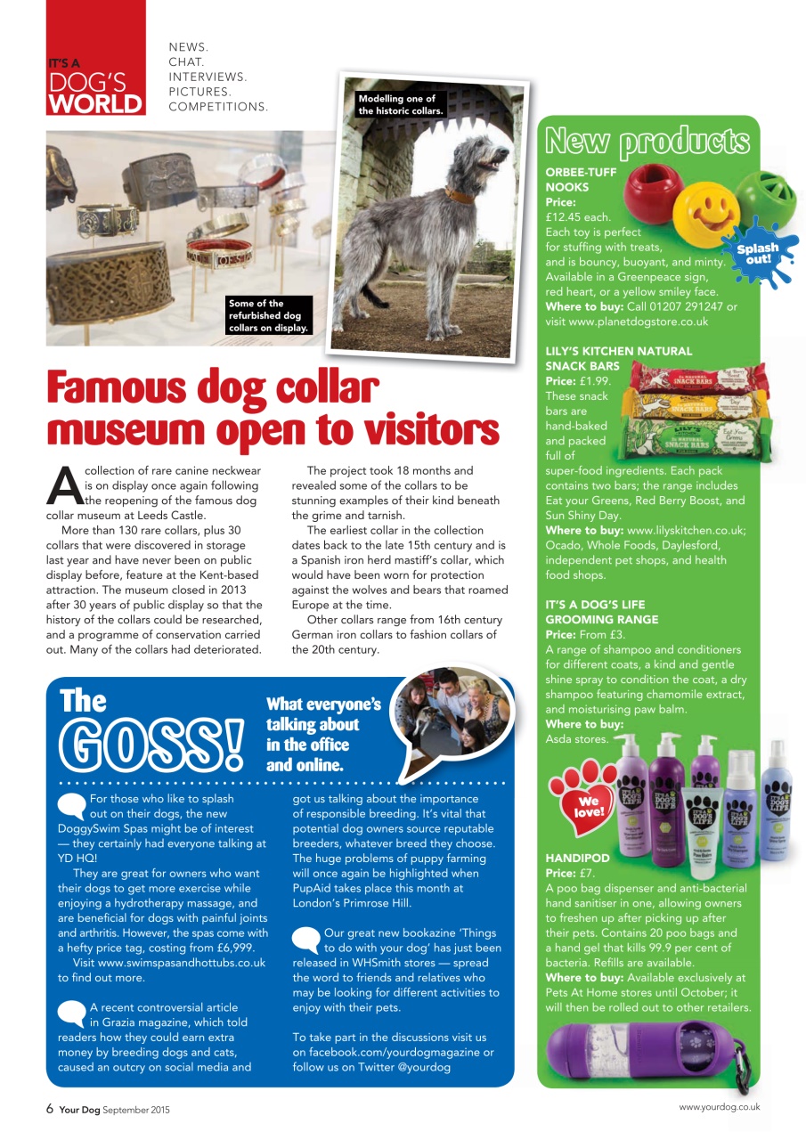 Your Dog Preview Pages