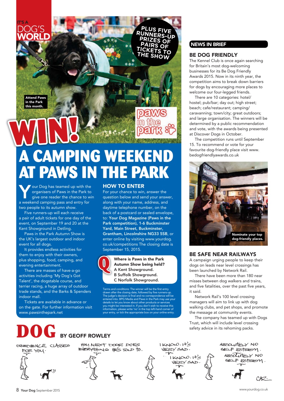 Your Dog Preview Pages