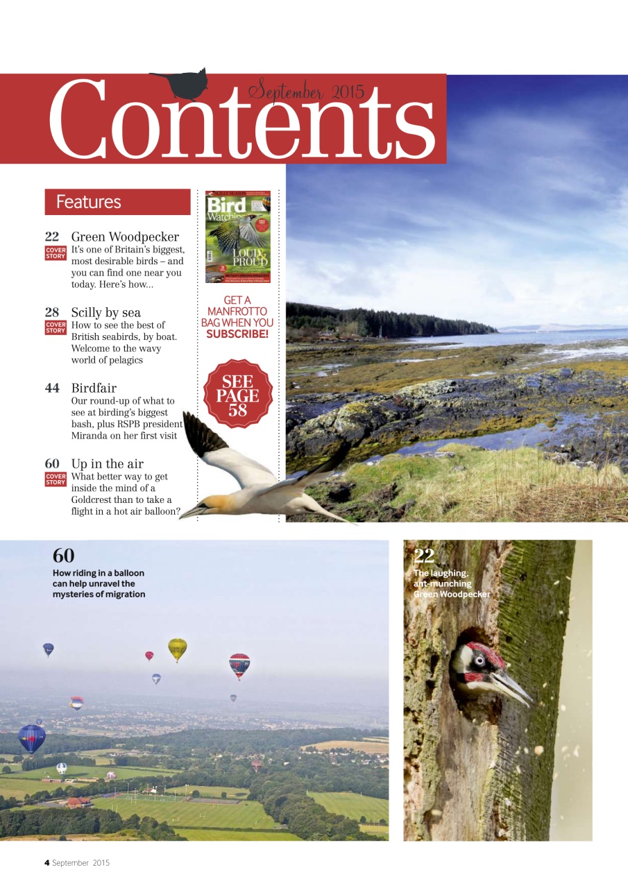 Bird Watching Preview Pages