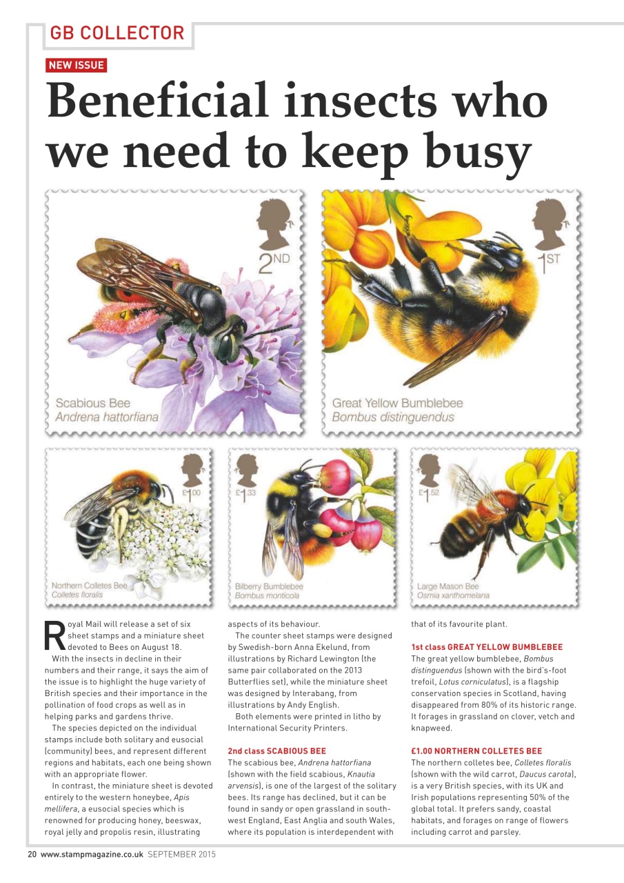 Stamp Magazine Preview Pages