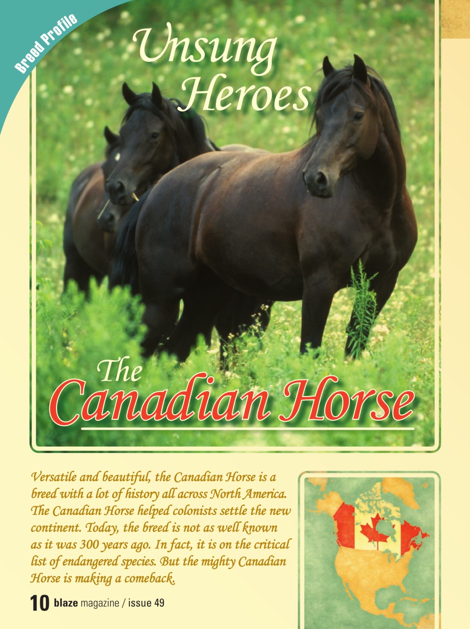 Blaze Magazine For Horse Crazy Kids Preview Pages