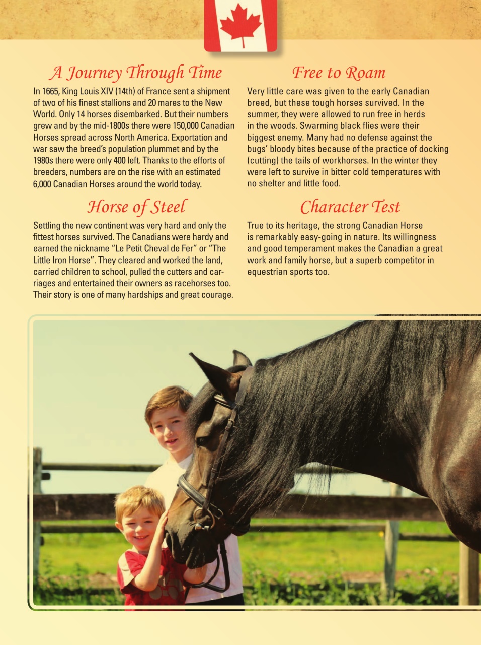 Blaze Magazine For Horse Crazy Kids Preview Pages