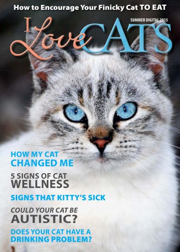 I Love Cats issue 