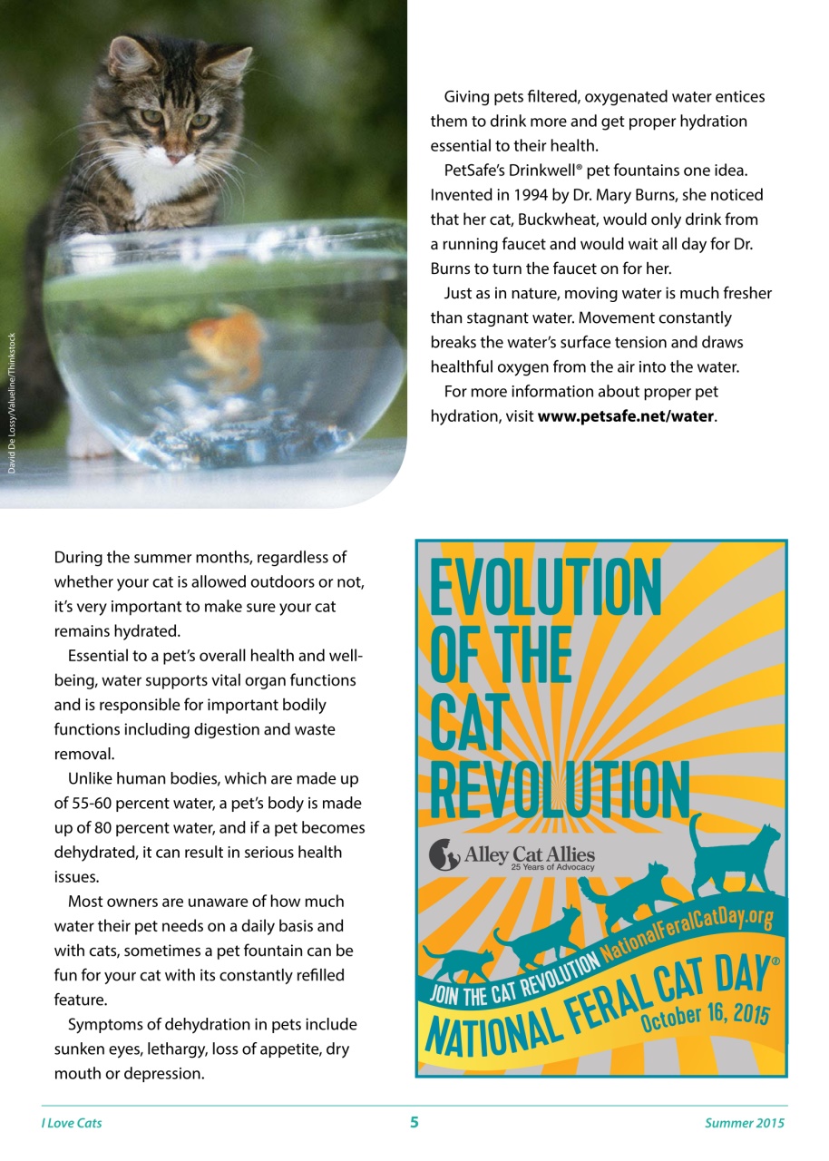 I Love Cats Preview Pages