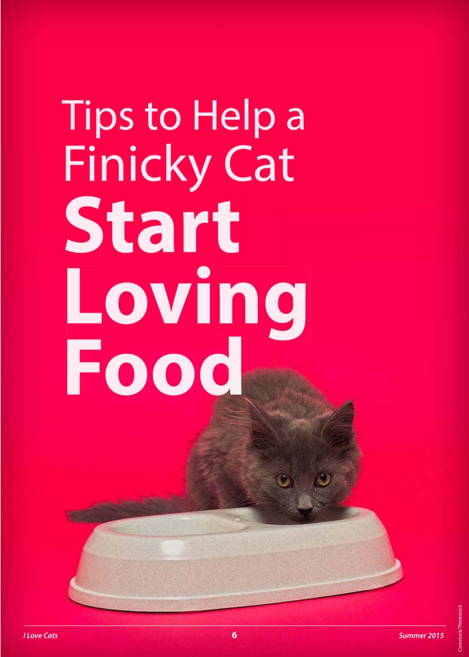 I Love Cats Preview Pages