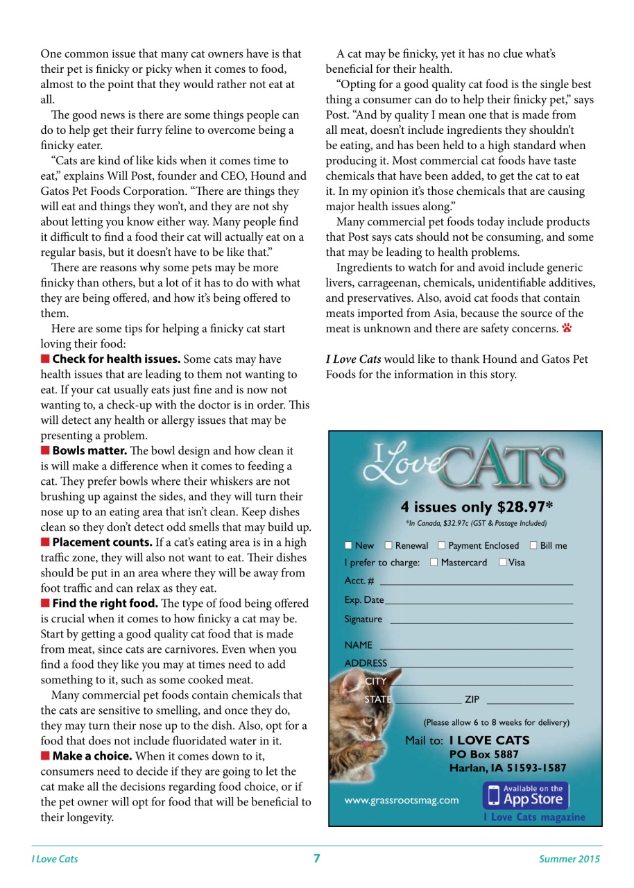 I Love Cats Preview Pages