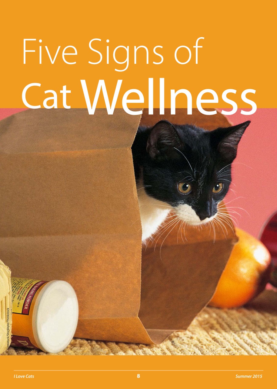 I Love Cats Preview Pages