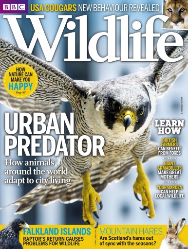 BBC Wildlife Magazine issue 