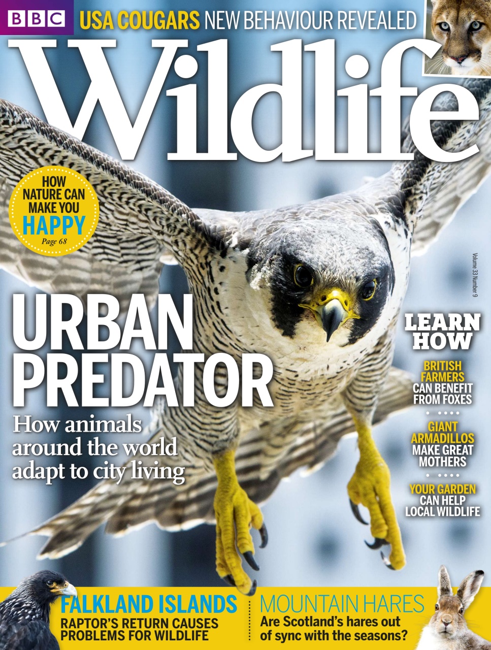 BBC Wildlife Magazine Preview Pages