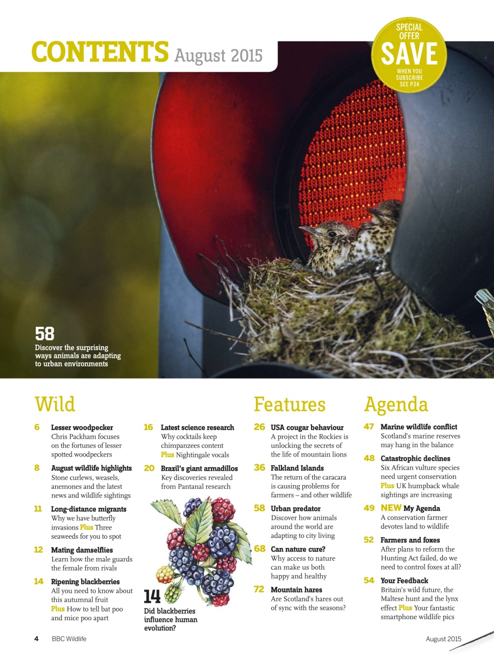 BBC Wildlife Magazine Preview Pages