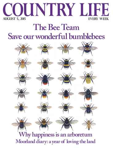 Country Life issue 5th August 2015