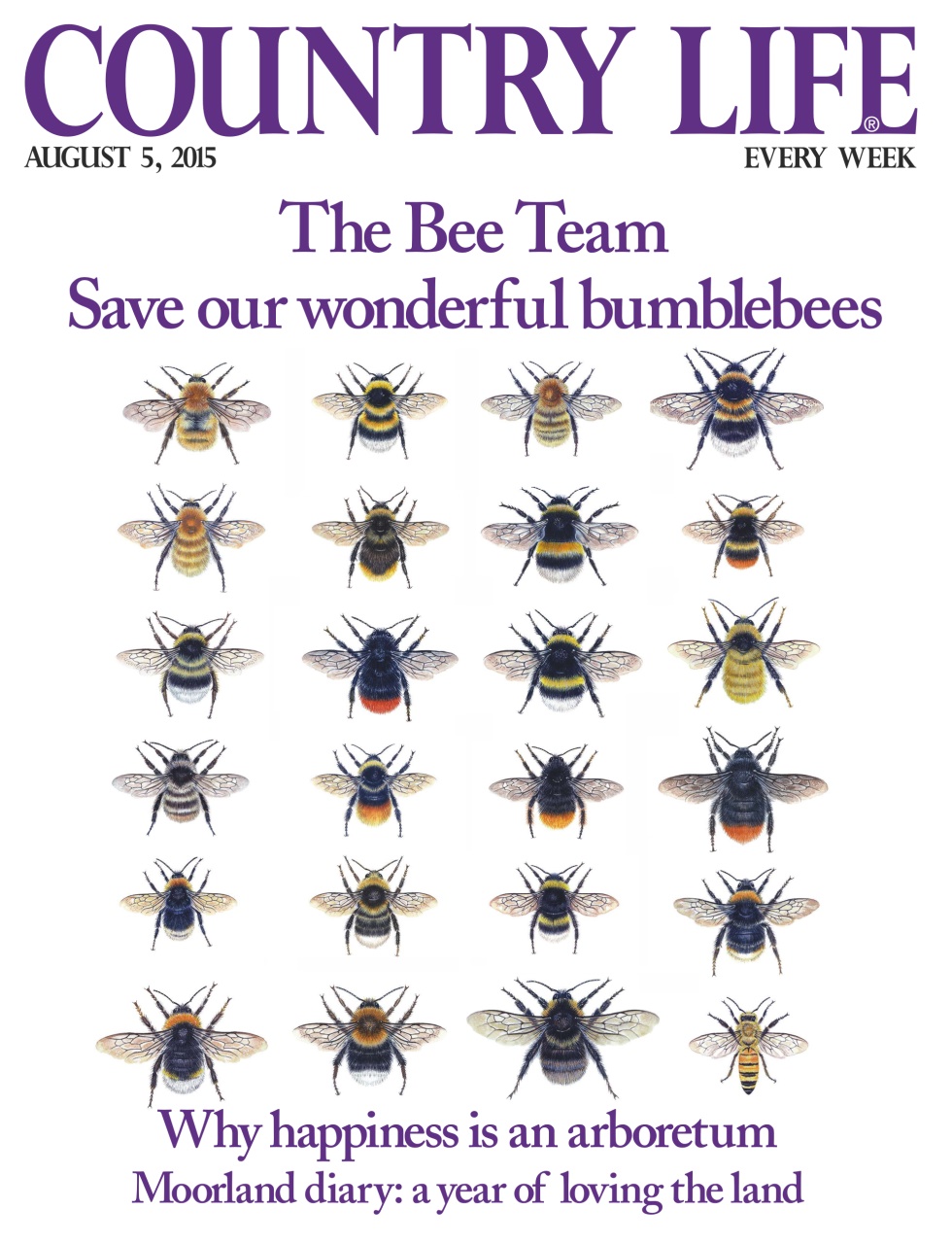 Country Life Preview Pages