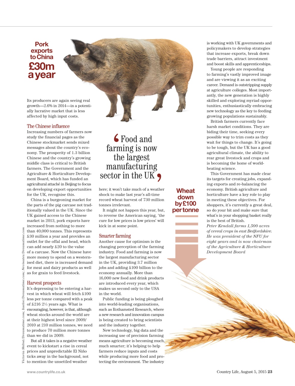 Country Life Preview Pages