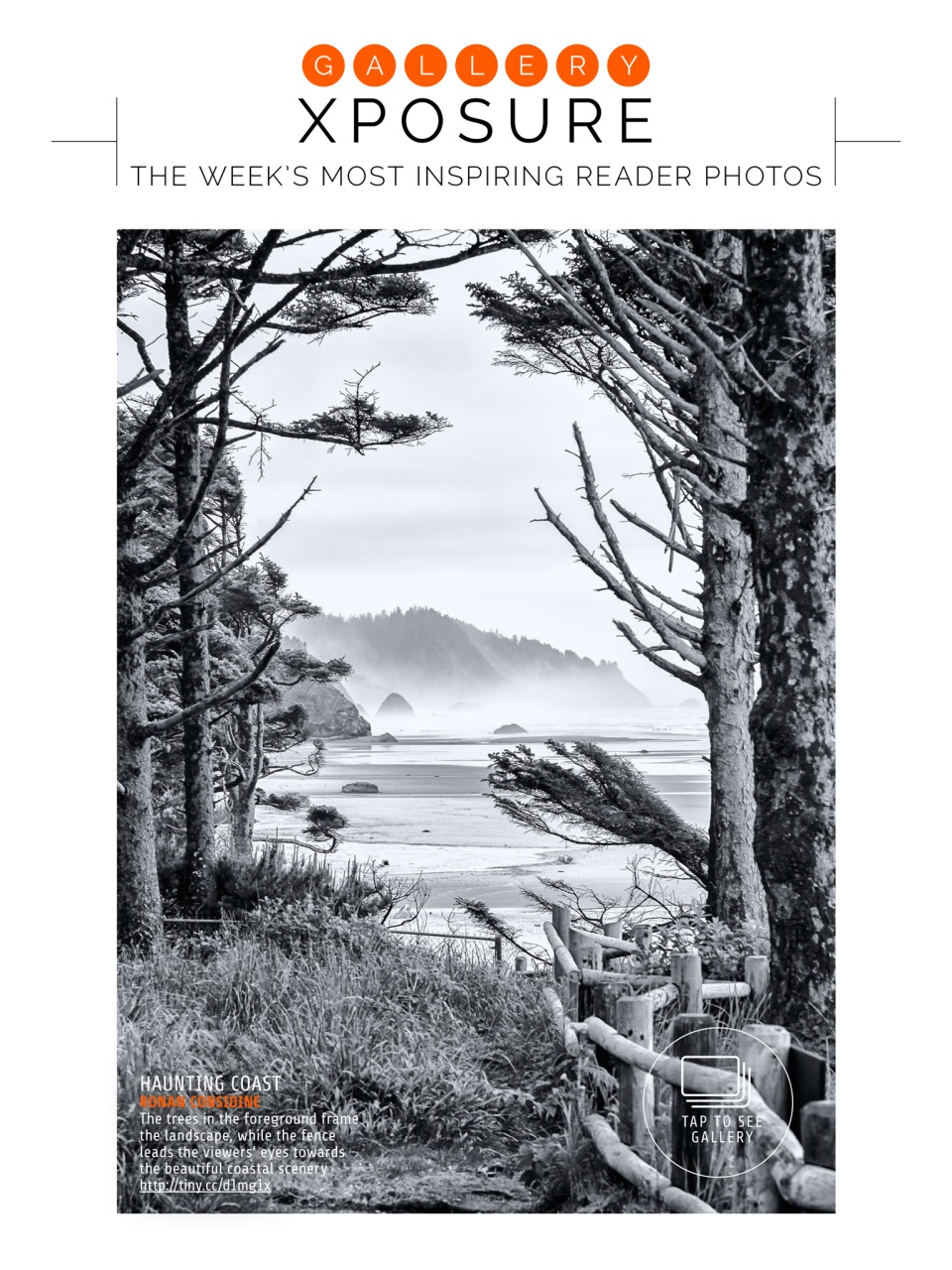 Photography Week Preview Pages