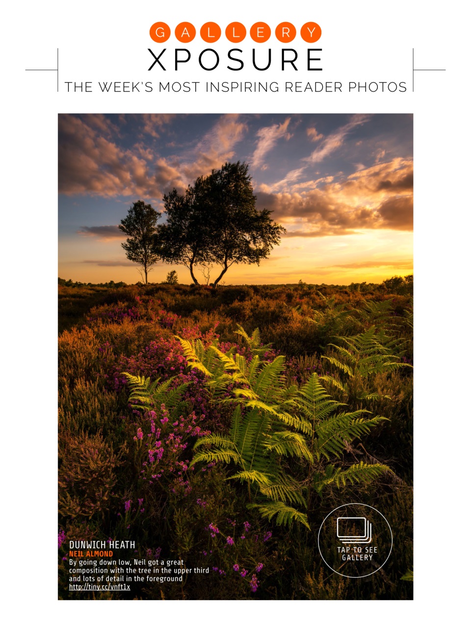 Photography Week Preview Pages