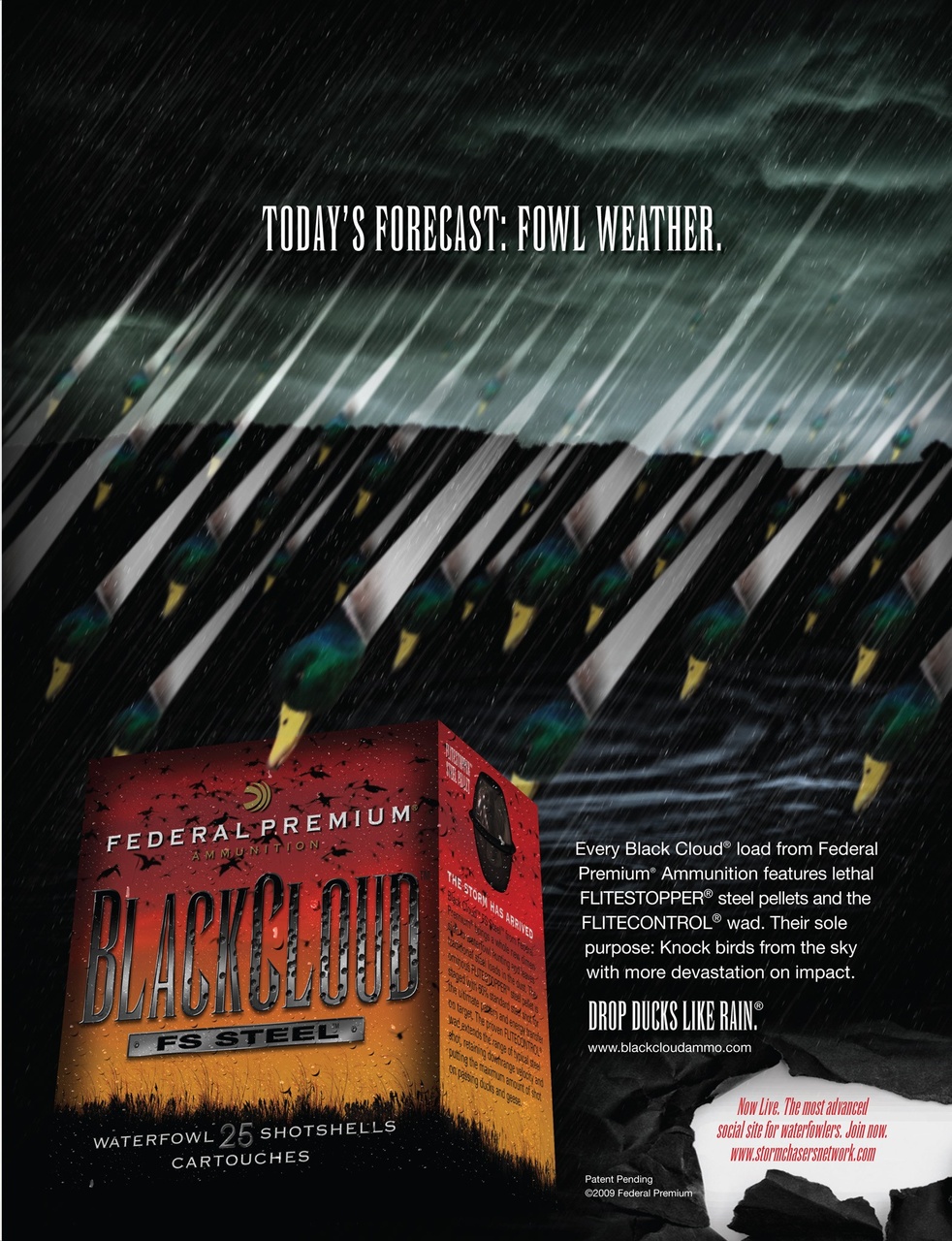 American Waterfowler Preview Pages