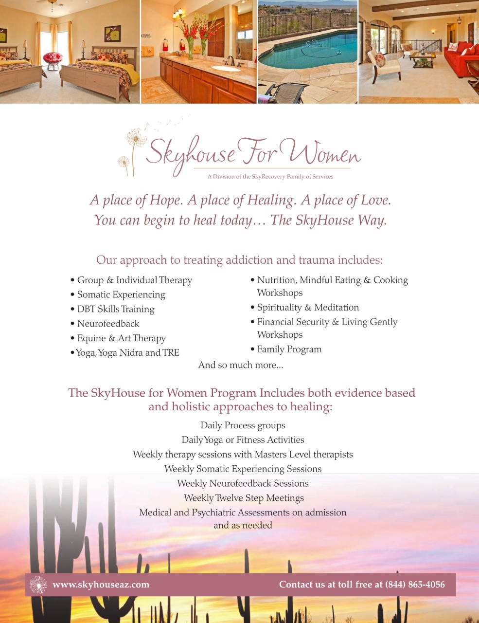 In Recovery Preview Pages