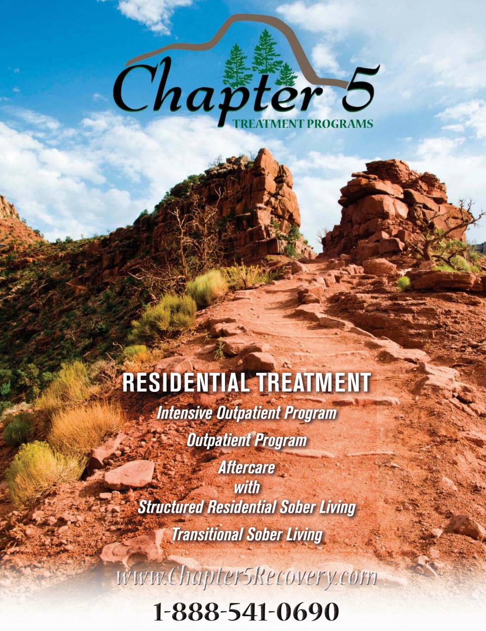 In Recovery Preview Pages