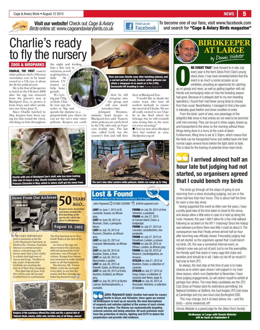 Cage & Aviary Birds Preview Pages