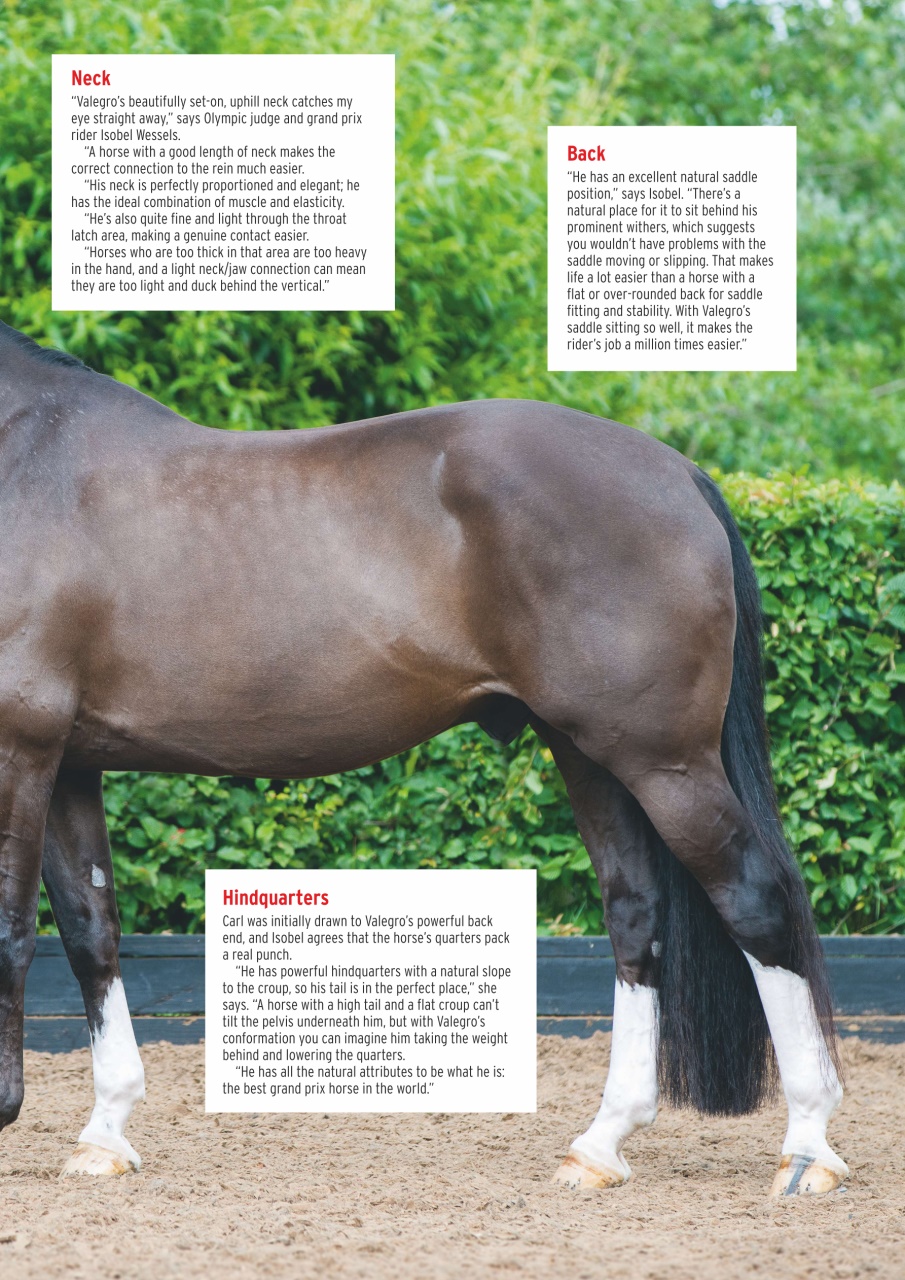 Horse & Hound Preview Pages