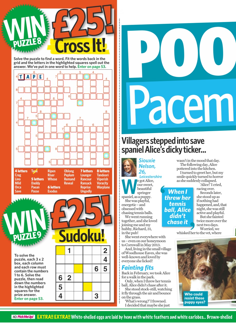 Pick Me Up Preview Pages