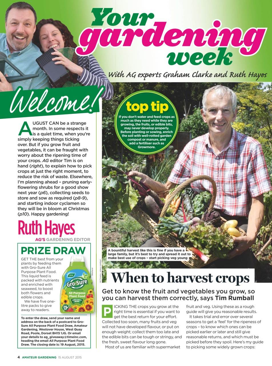 Amateur Gardening Preview Pages