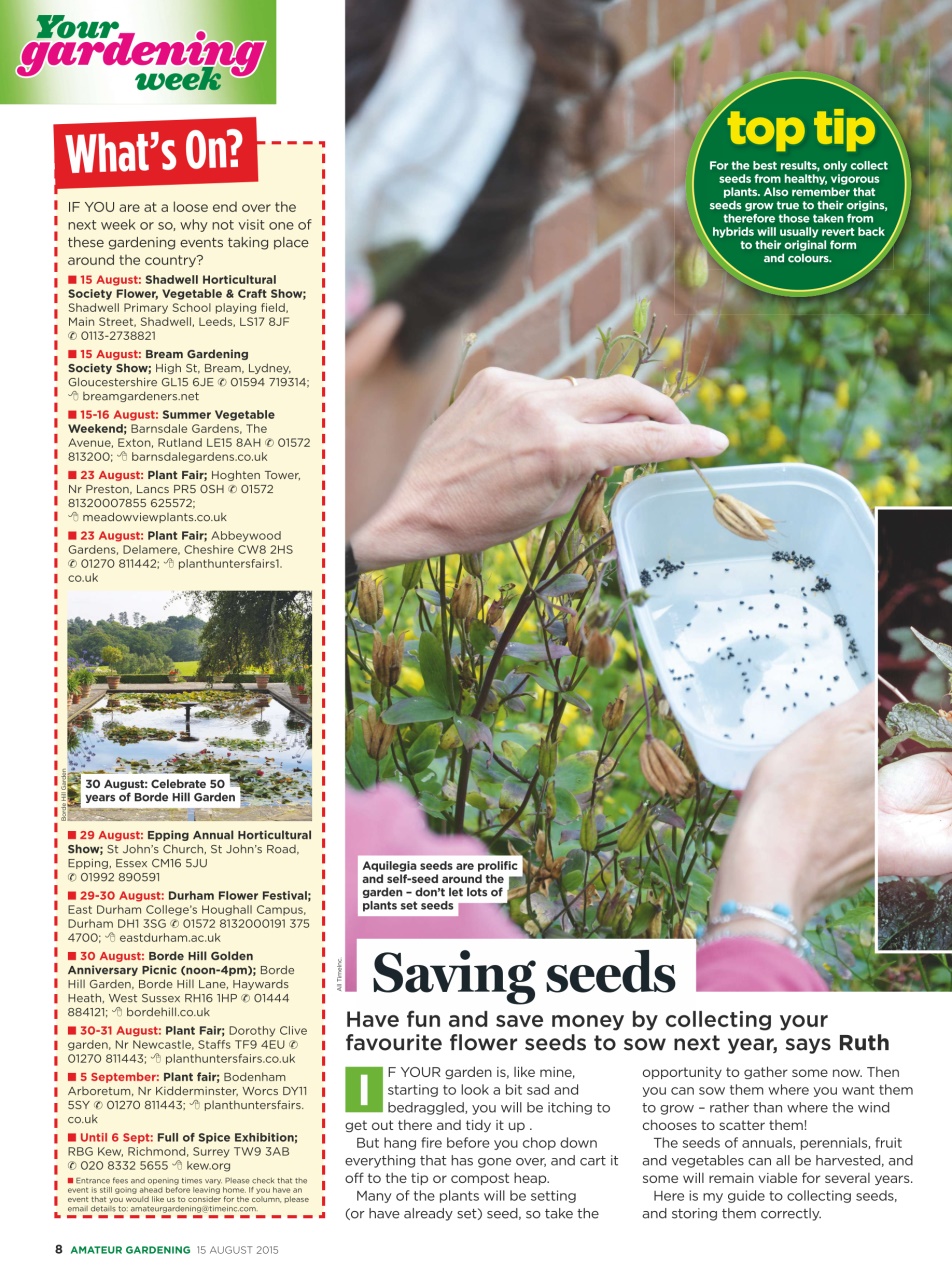 Amateur Gardening Preview Pages