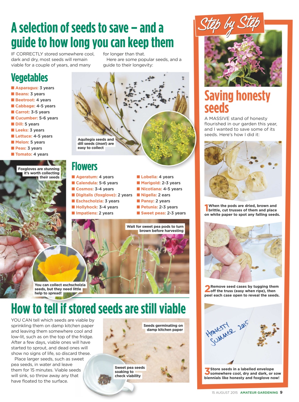 Amateur Gardening Preview Pages