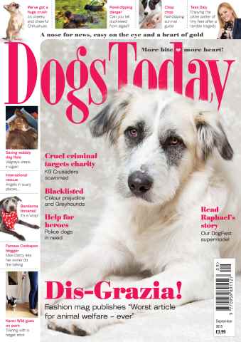 Dogs Today Magazine issue September 2015