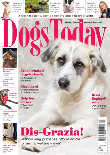 Dogs Today Magazine issue 