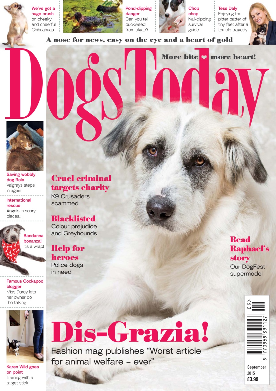 Dogs Today Magazine Preview Pages