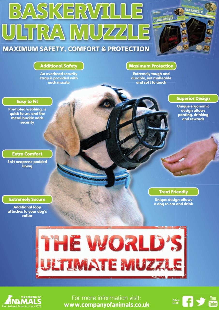 Dogs Today Magazine Preview Pages