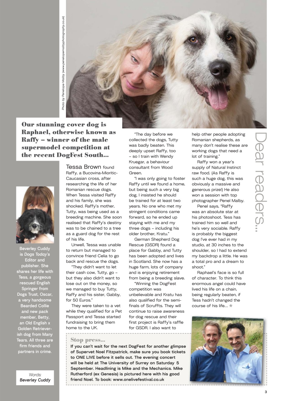 Dogs Today Magazine Preview Pages