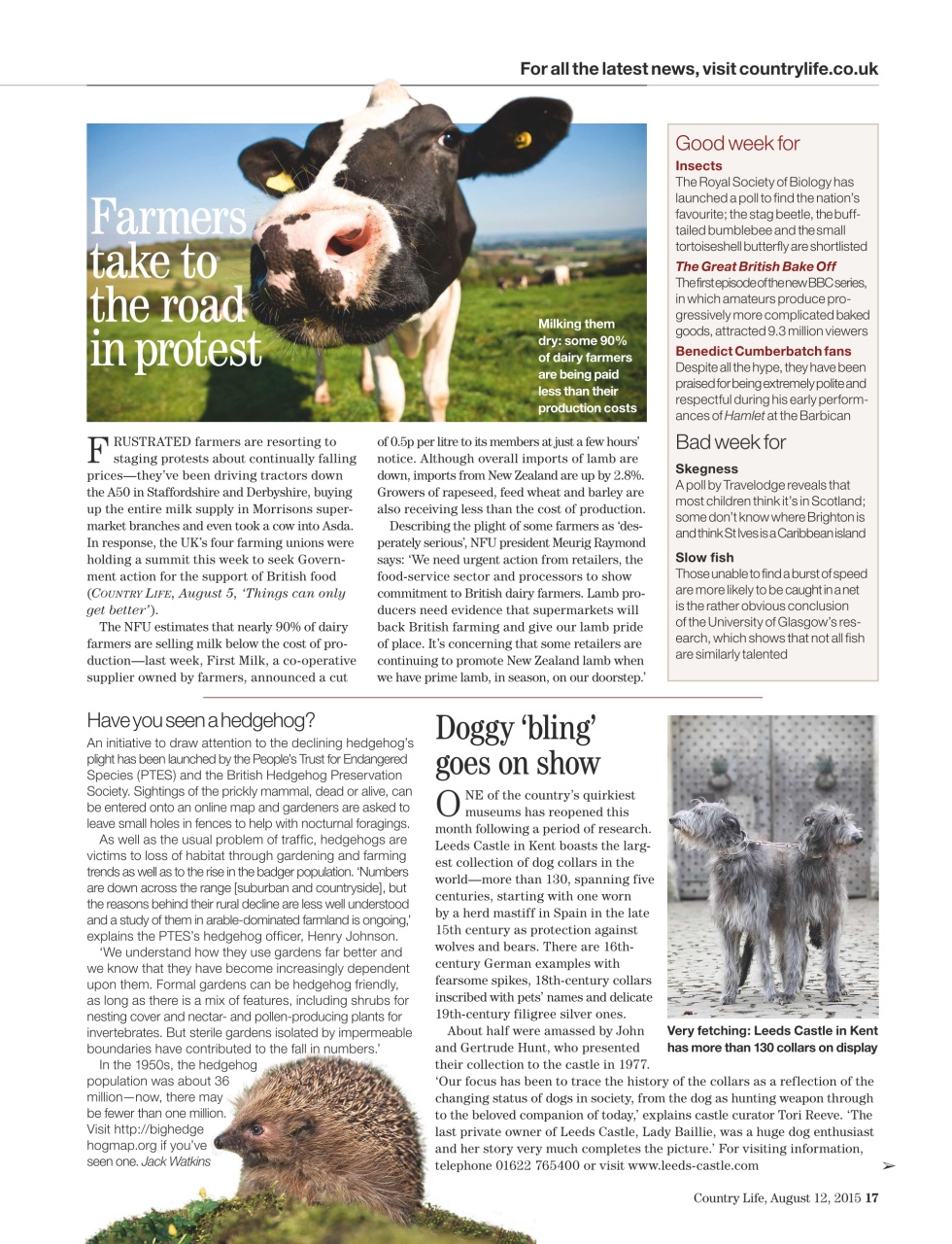 Country Life Preview Pages