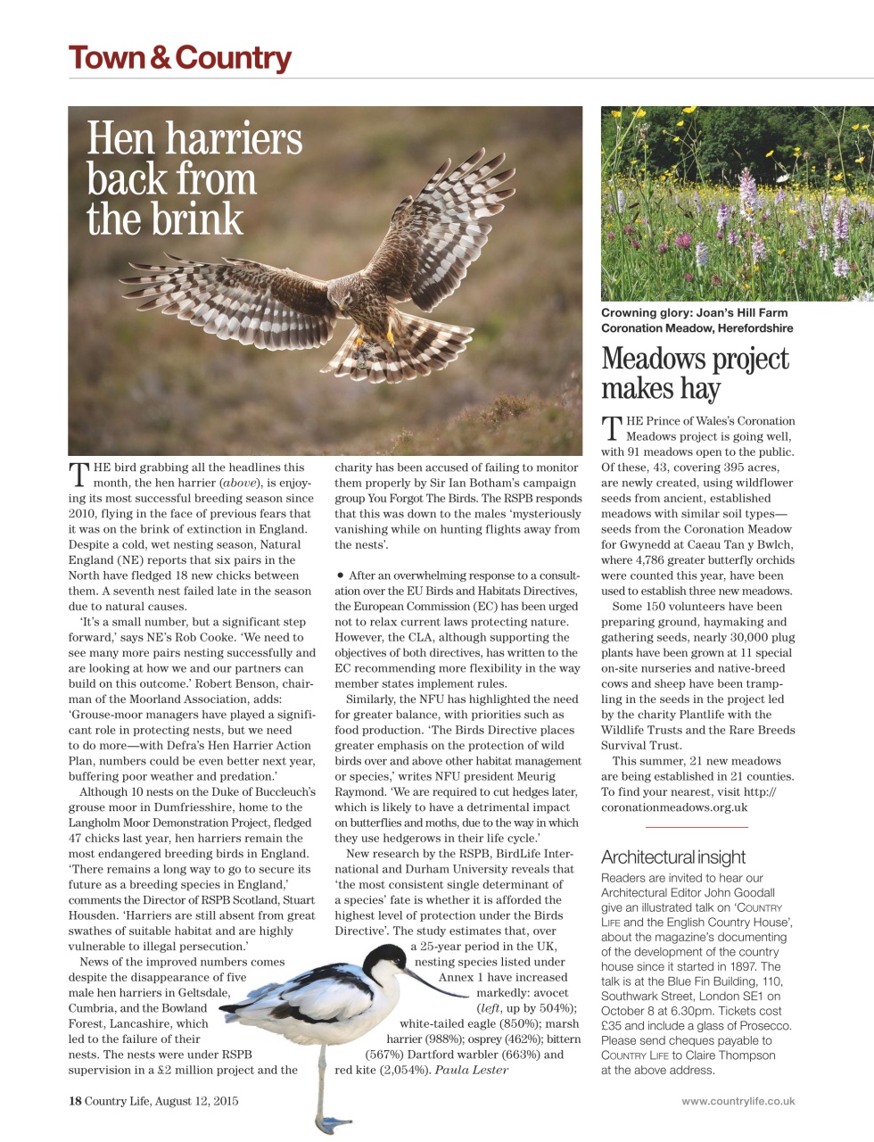 Country Life Preview Pages