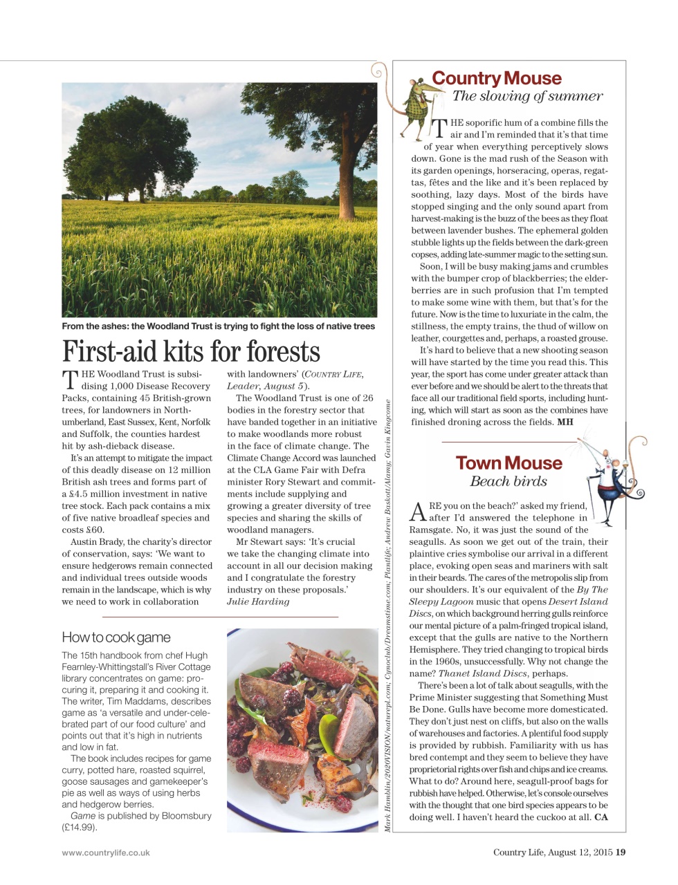 Country Life Preview Pages