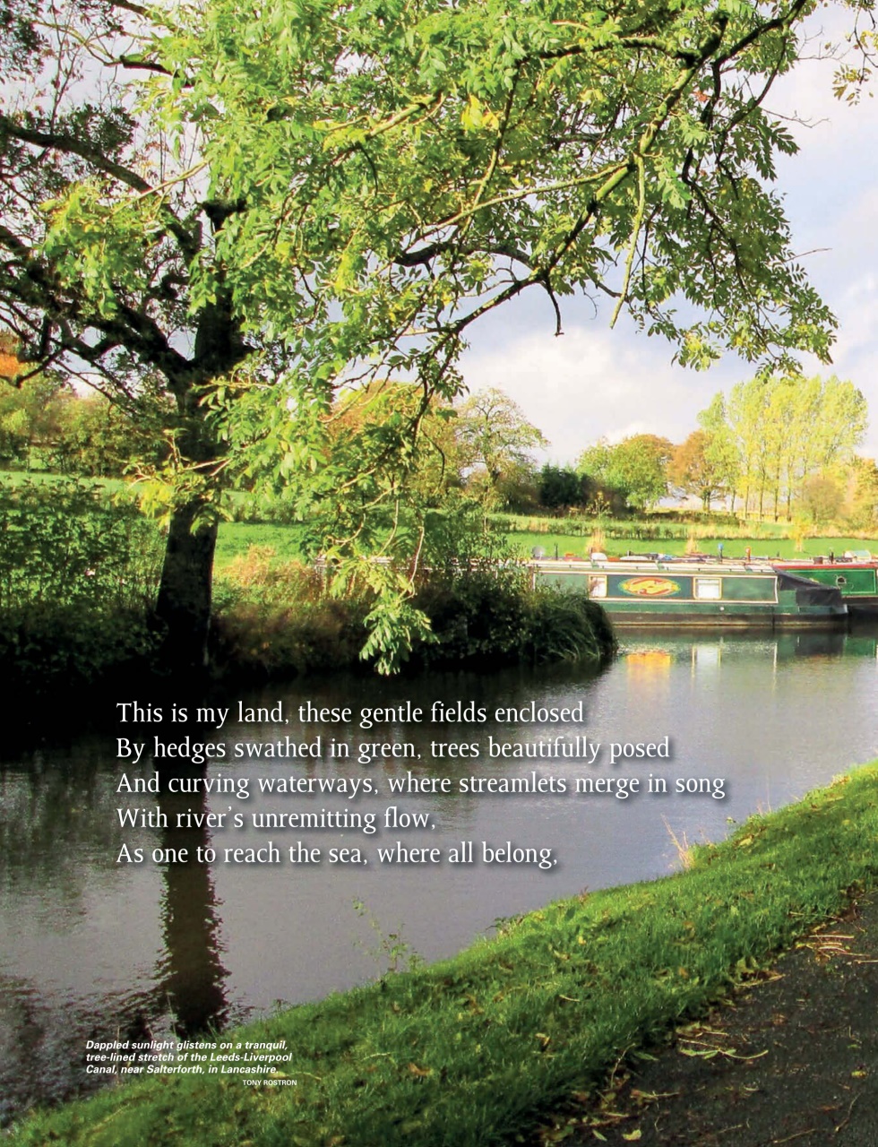 This England Preview Pages