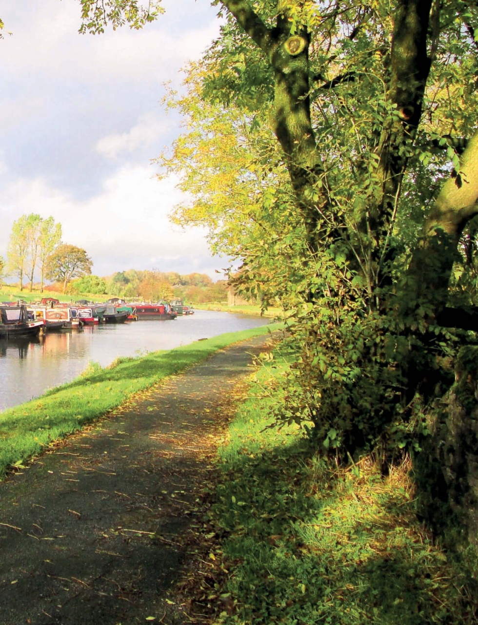 This England Preview Pages