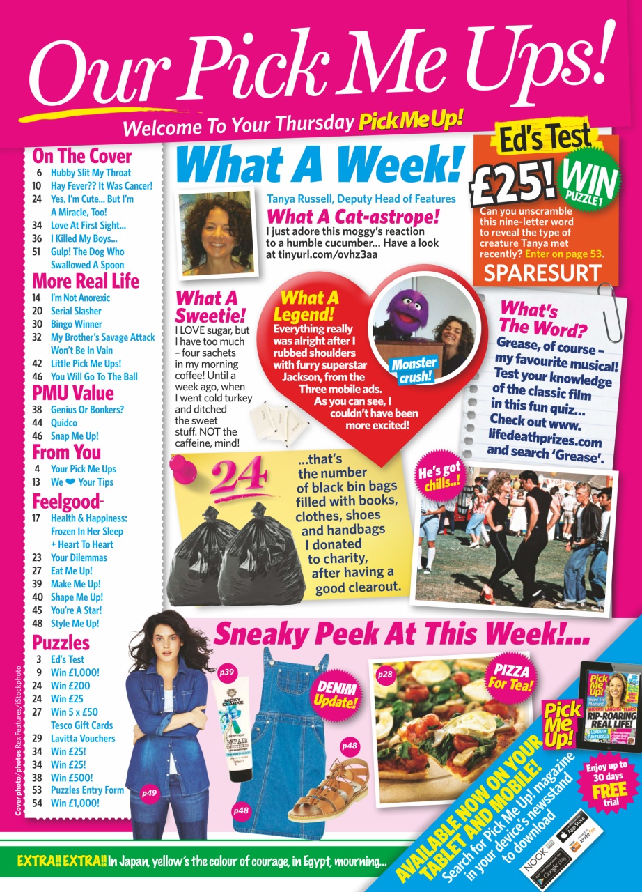 Pick Me Up Preview Pages