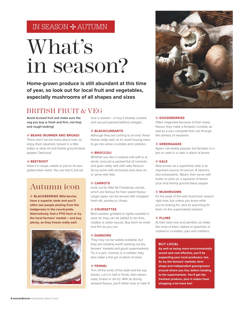 Woman & Home Feel Good Food Preview Pages