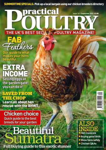 Practical Poultry issue No. 141 Beautiful Sumatra