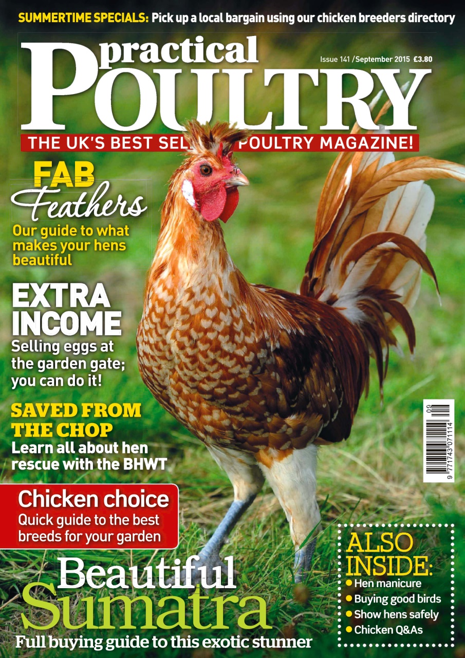 Practical Poultry Preview Pages