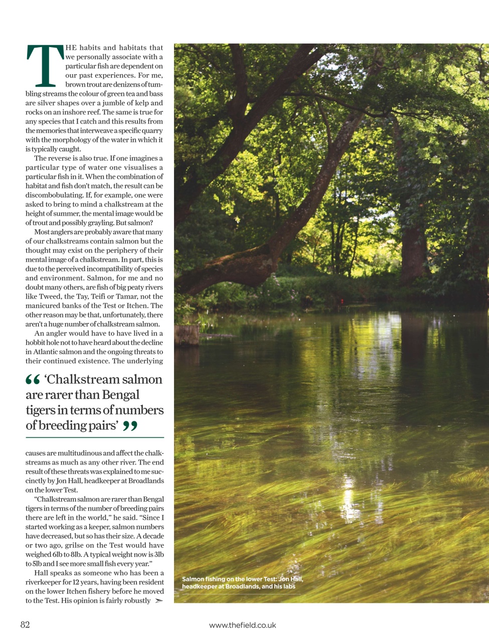 The Field Preview Pages