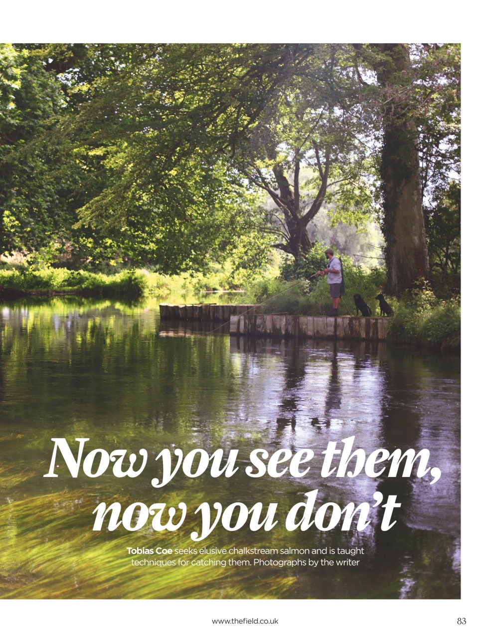 The Field Preview Pages