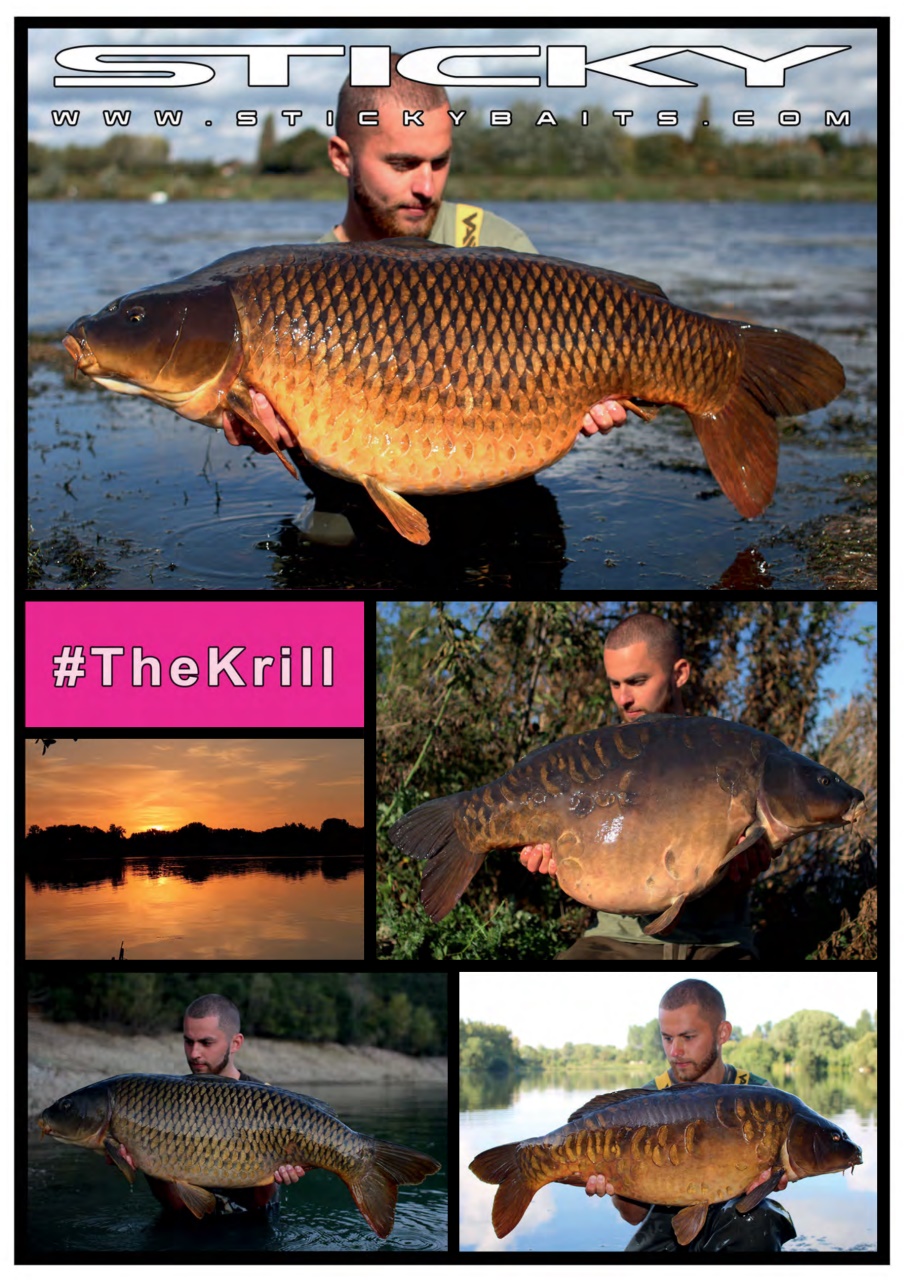 Crafty Carper Preview Pages